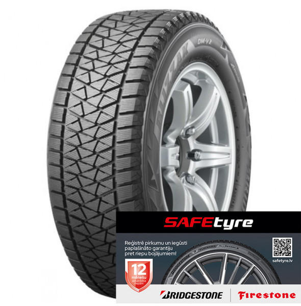 Bridgestone BLIZZAK DM-V2