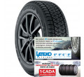 Bridgestone BLIZZAK DM-V2